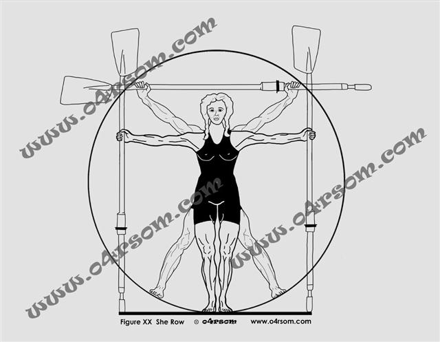 XX She Row: black on white Vitruvian oarswoman. o4rsom line art.