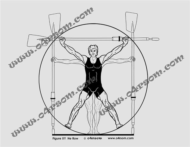 XY He Row: black on white Vitruvian oarsman. o4rsom line art